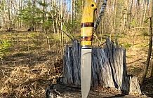Нож "Тайга" литой булат, стабилизированный кап клена, зуб мамонта